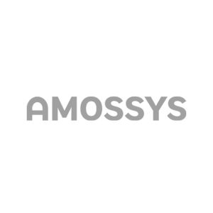 Logo de Amossys, qui parle de segmentation réseau OT